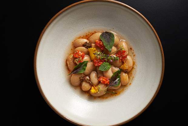 ElBaqueano-LATAM-2018-DISH2